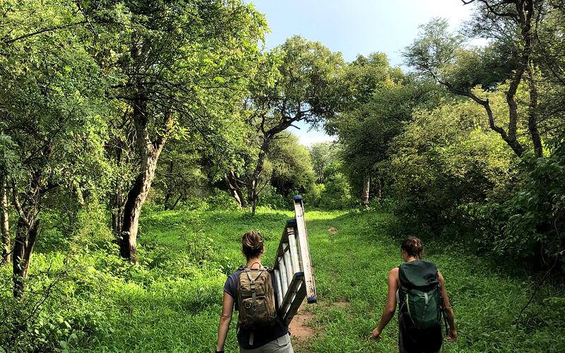 Field researchers in the South African bush