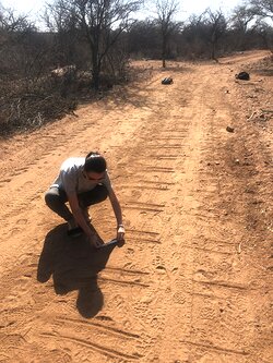 Wildlife tracking in the field